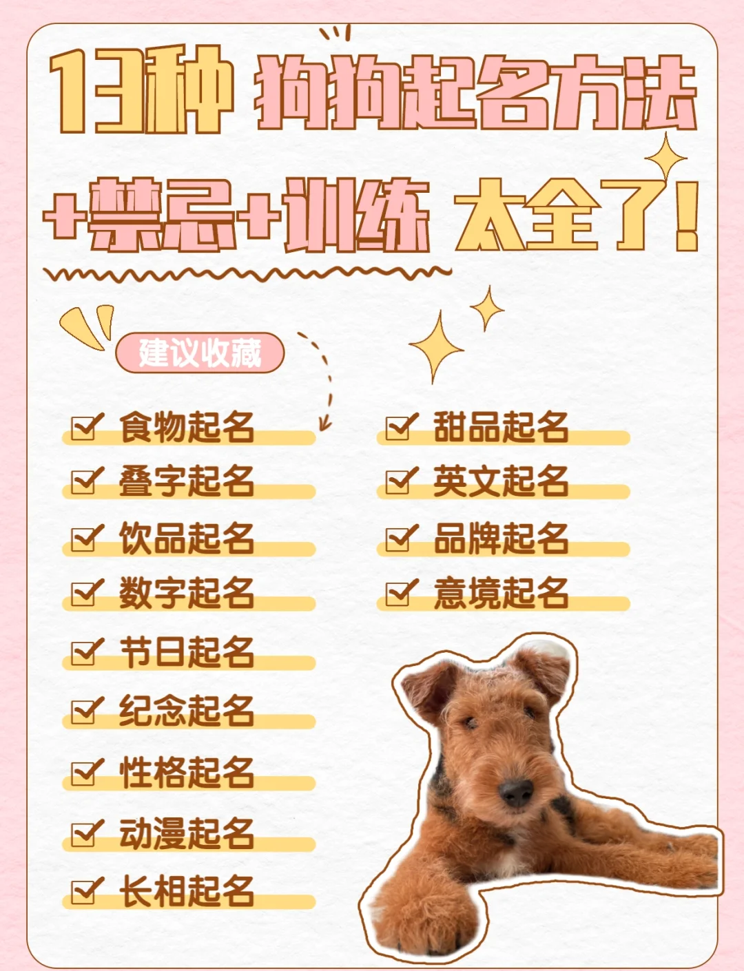 狗狗起名大全男狗