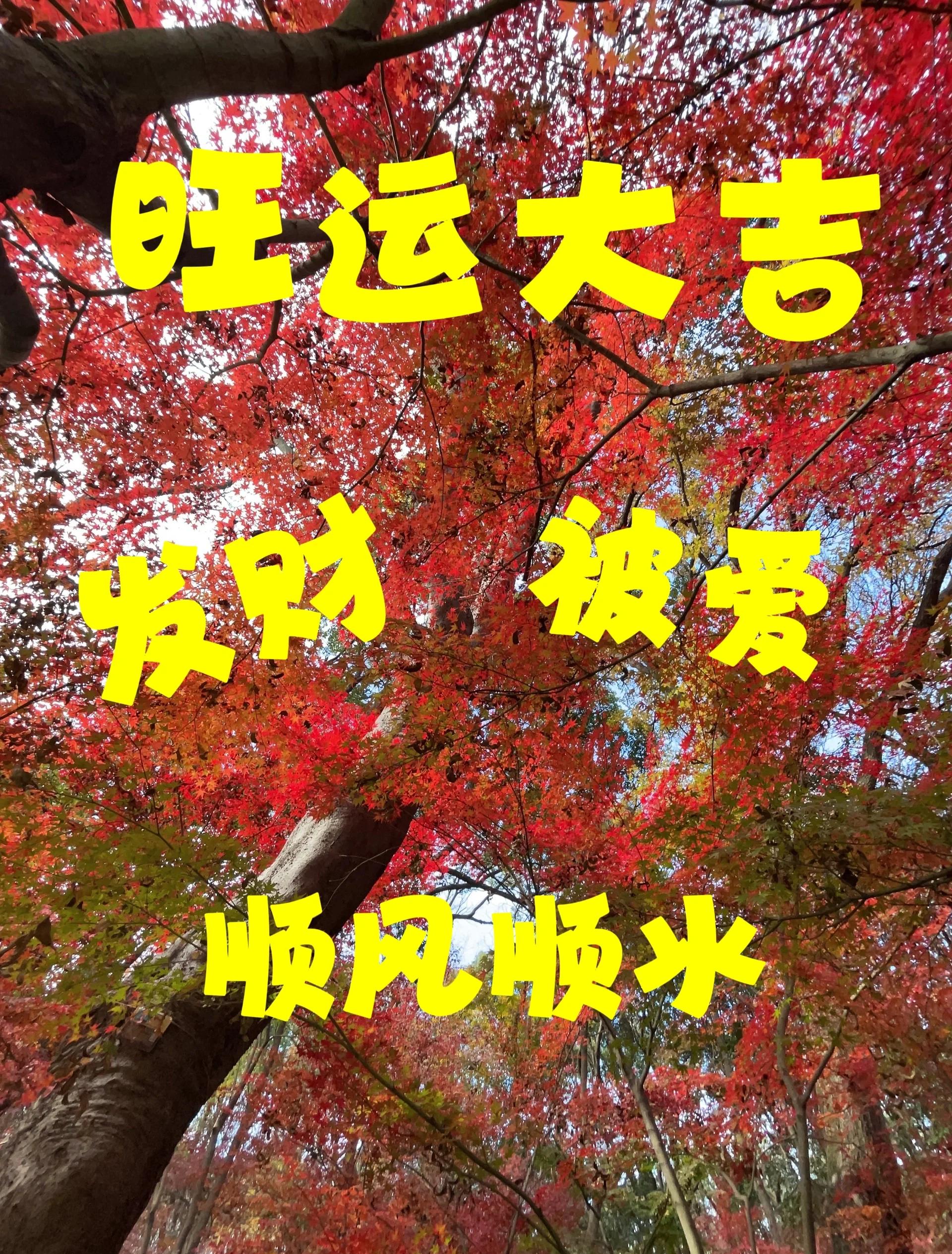 科普展现:改运气快方法（改运小妙招）