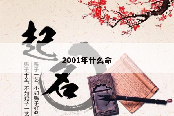 2001年什么命