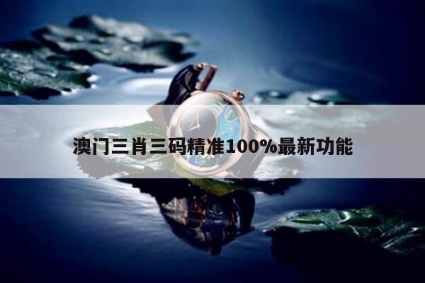 澳门三肖三码精准100%最新功能