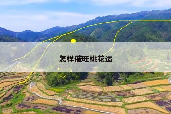 怎样催旺桃花运
