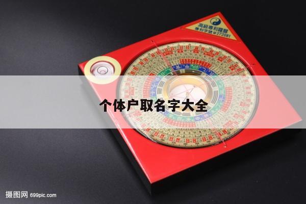 个体户取名字大全