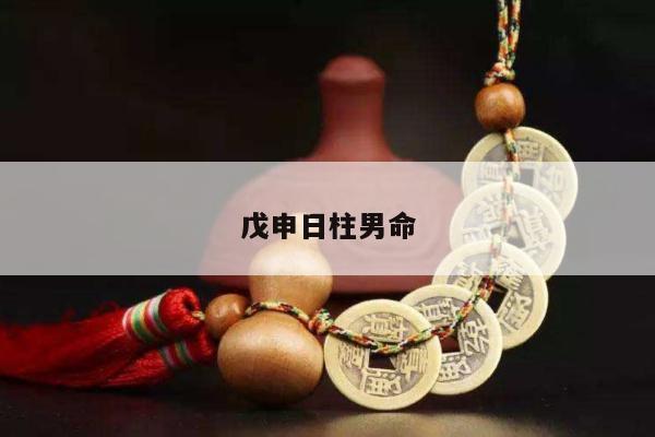 戊申日柱男命