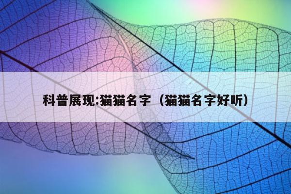 科普展现:猫猫名字（猫猫名字好听）