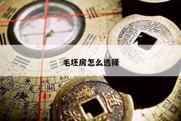 毛坯房怎么选择