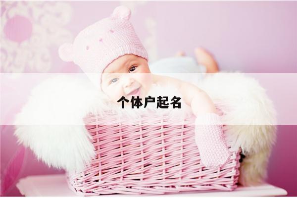 个体户起名
