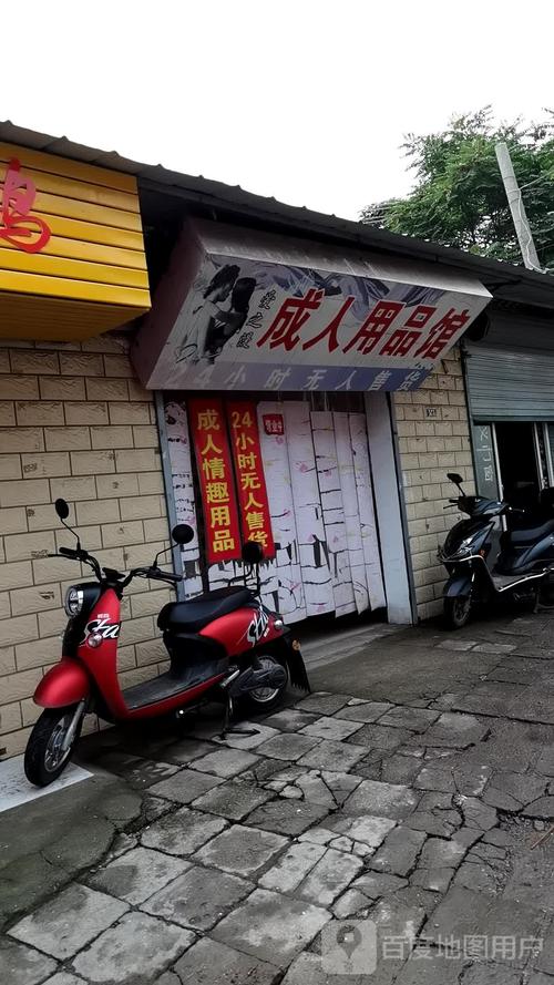 成人成人用品网上店,网上最好的成人用品店