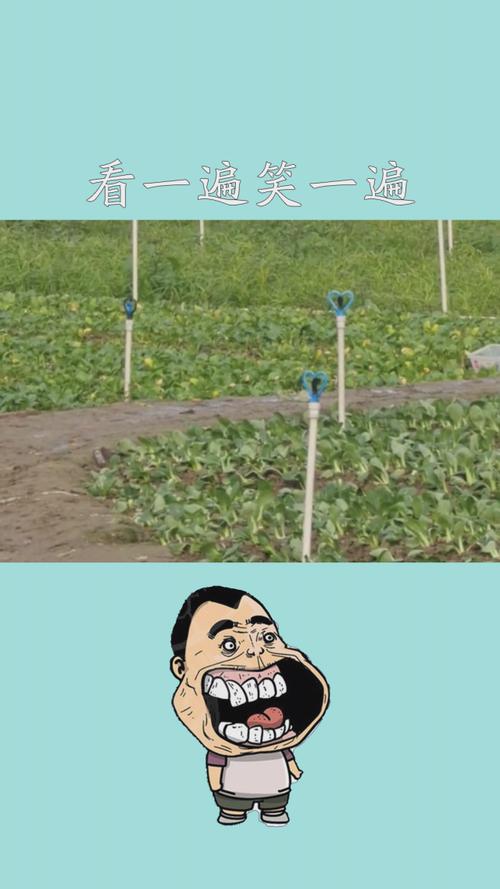 新嘀嘀咕咕影视网,新嘀嘀咕咕影视网页版