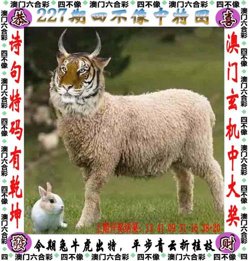 13262cc澳门资料,澳门资料,澳门资料库2120